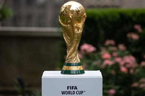 fifaxm|fifax abp.